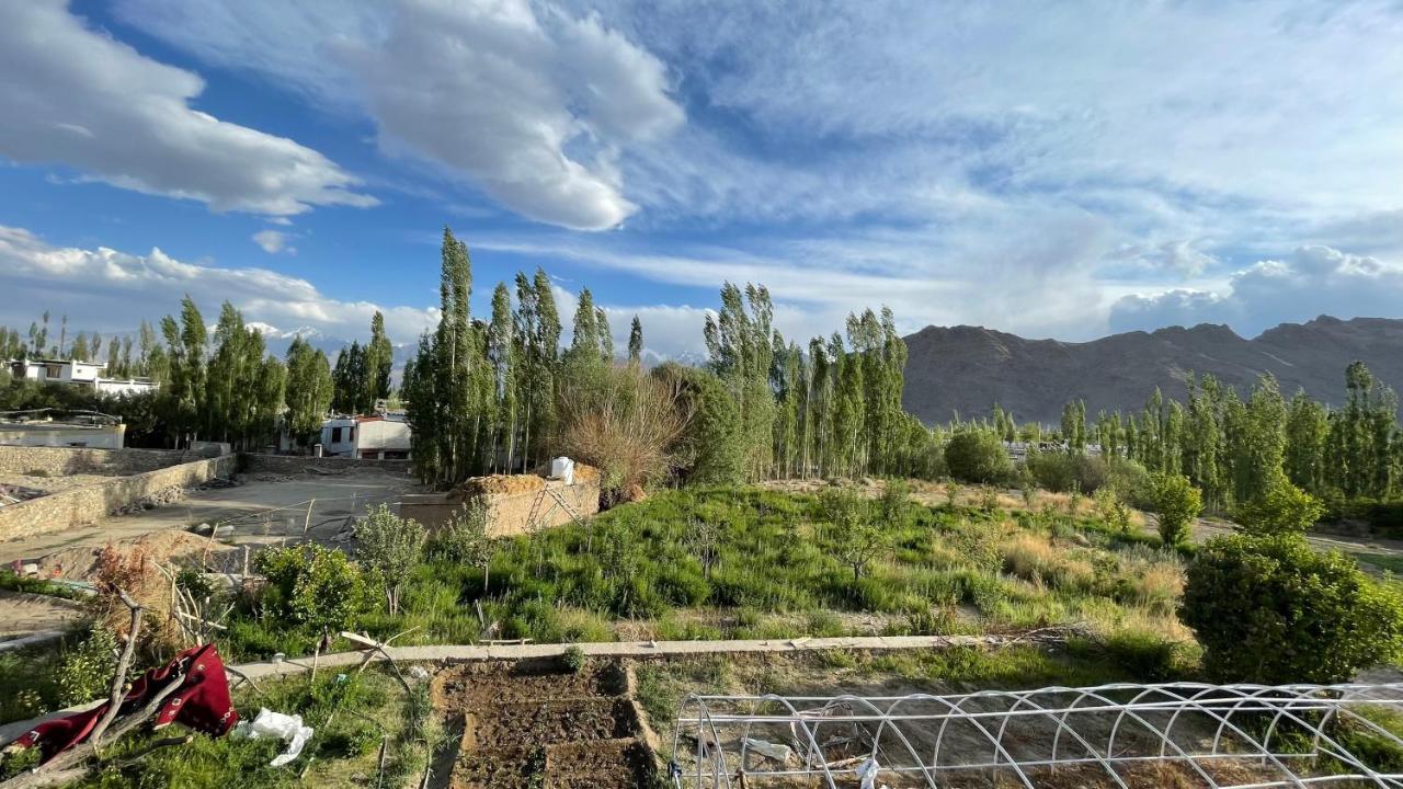 The Willow House Лех Экстерьер фото