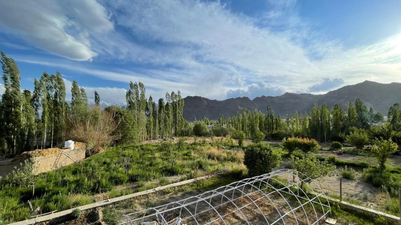 The Willow House Лех Экстерьер фото